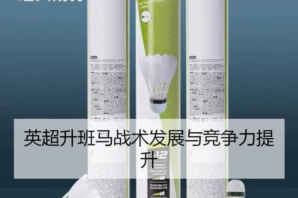 英超升班马战术发展与竞争力提升